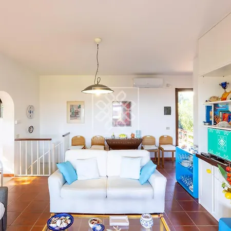 Elicriso * スティンティーノ