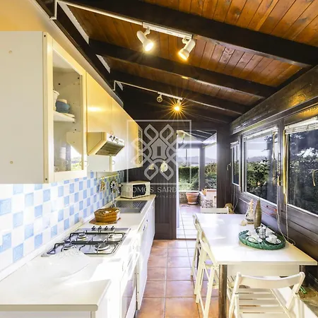 Elicriso Стинтино