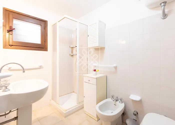 Elicriso * ستينتينو