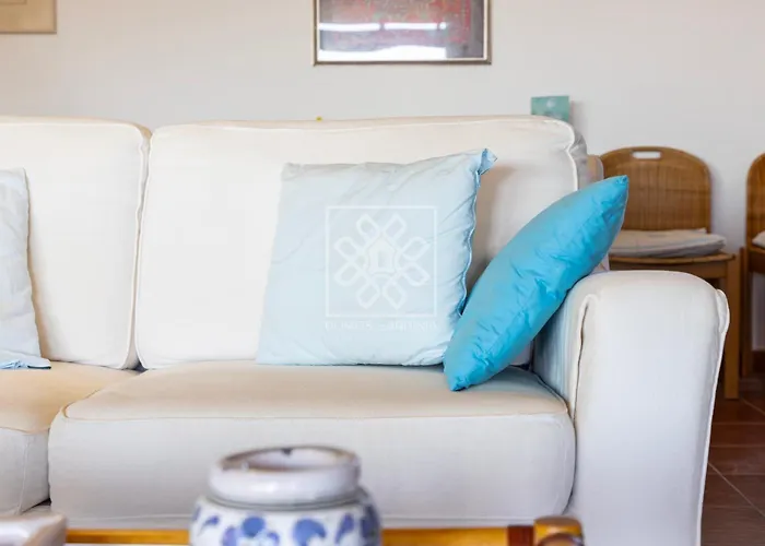 Elicriso * ستينتينو