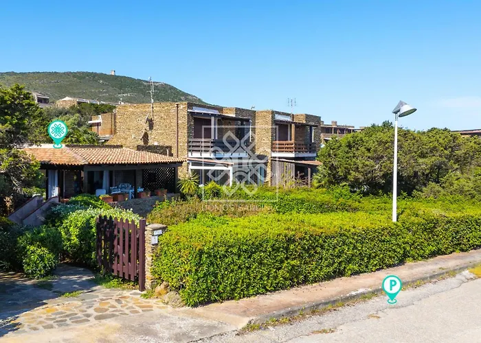 Elicriso ستينتينو