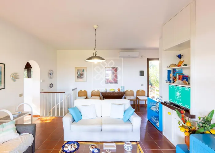 Elicriso * ستينتينو