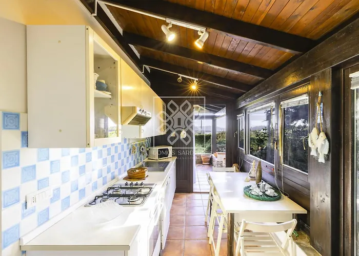 Elicriso ستينتينو