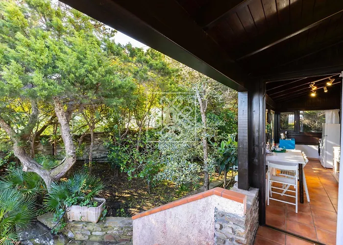 Elicriso * ستينتينو